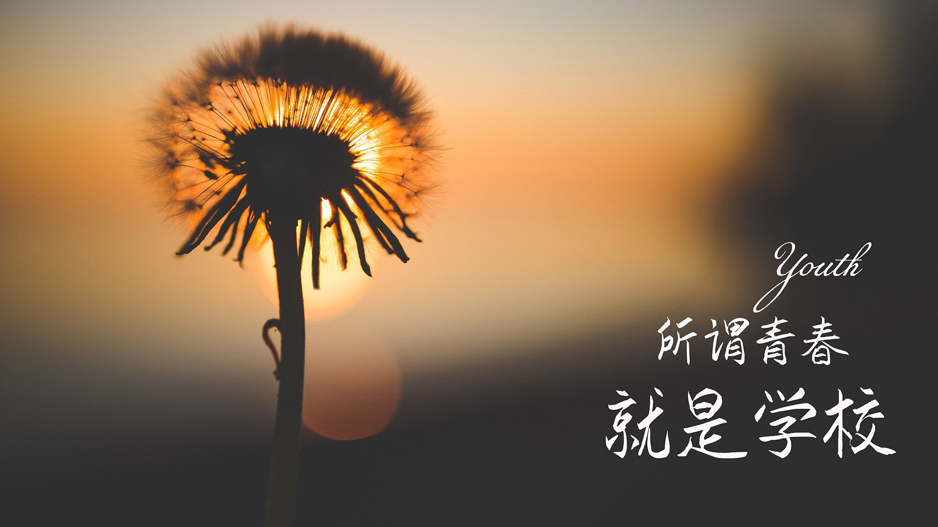 教练盛赞球员表现：他们为国争光，当教练的球星