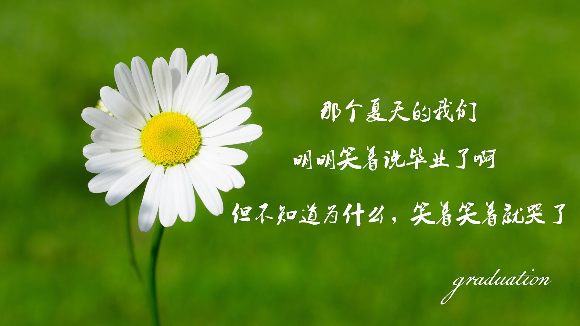 kaiyun中国官方网站-体育器材智能检测平台设计与标准化研究，体育用品质量检测中心