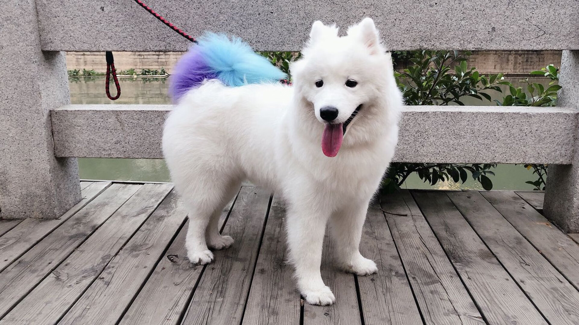 篮球比赛策略智能辅助系统开发研究,篮球比赛策略智能辅助系统开发研究