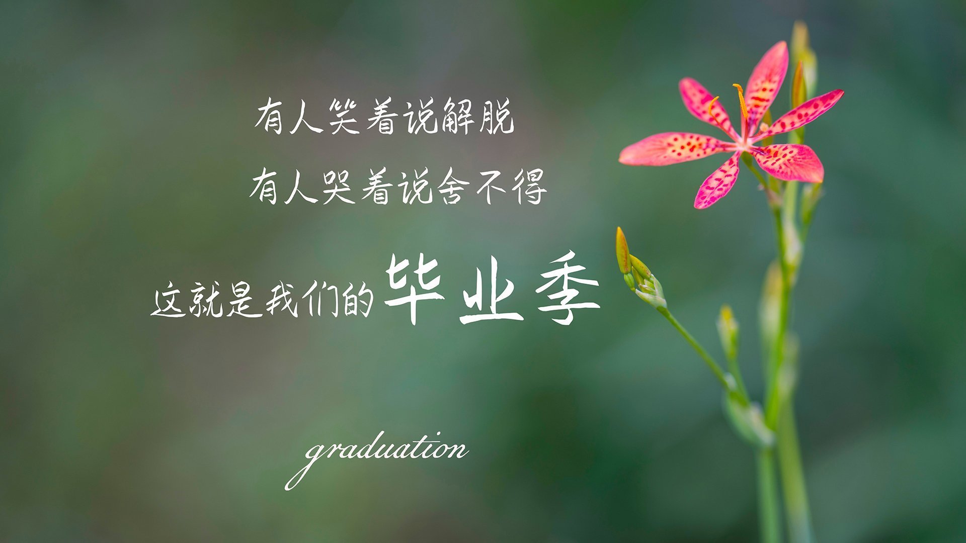 开云官方网站-世界选手划频差异形成多元战术