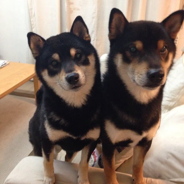 切尔西首夺扩军版俱乐部世界杯冠军，切尔西2021冠军