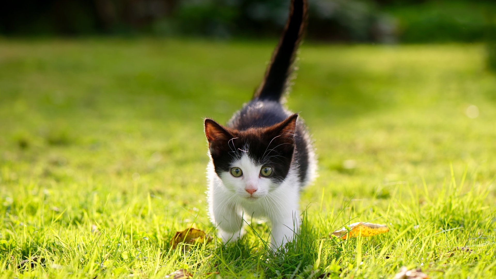 国际热身赛中国青年队逆袭 球迷热情不减，中国队热身赛结果