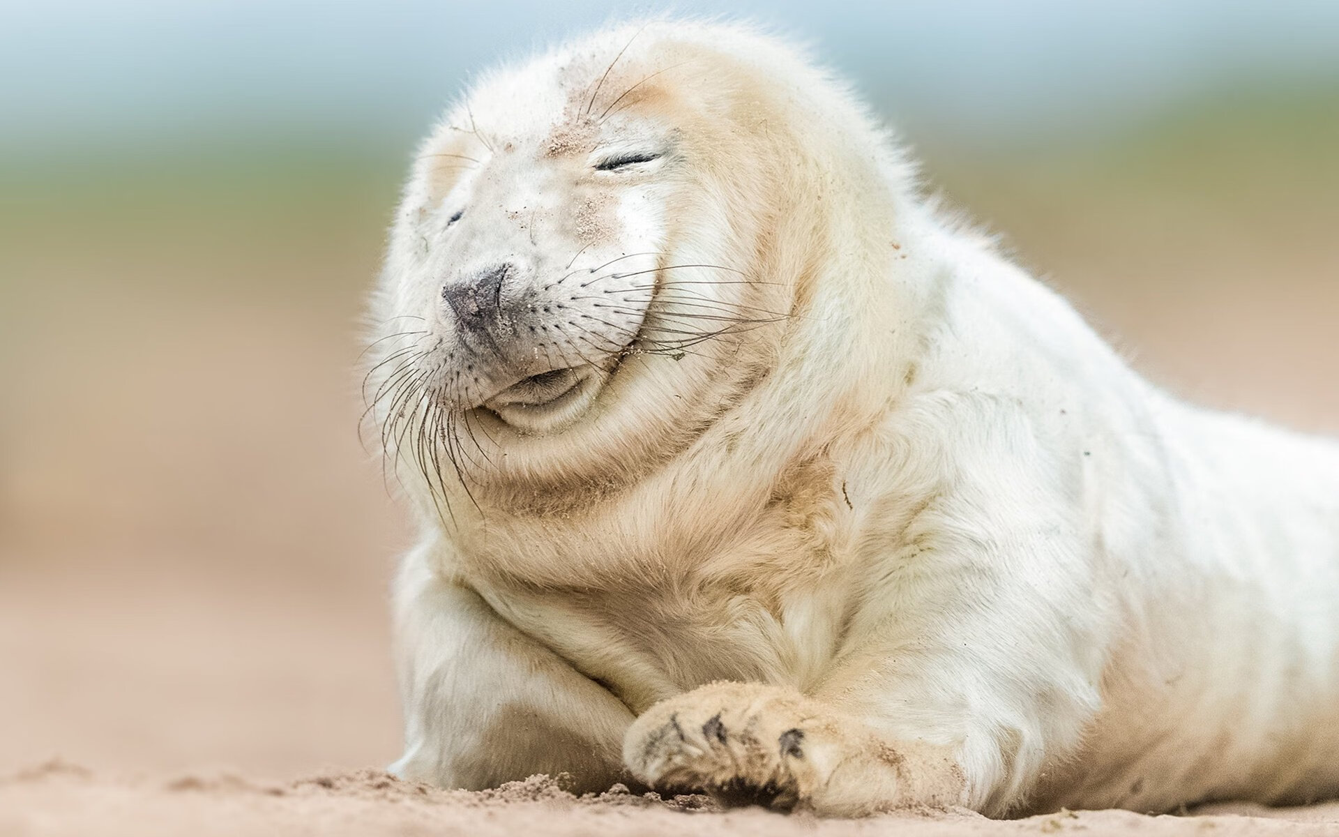 羽毛球女子单打新星首次闯入世界前十，羽毛球 女单