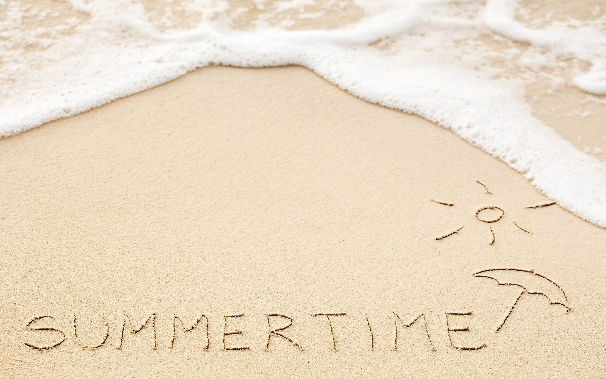 法甲联赛中的运动科学应用，法甲介绍