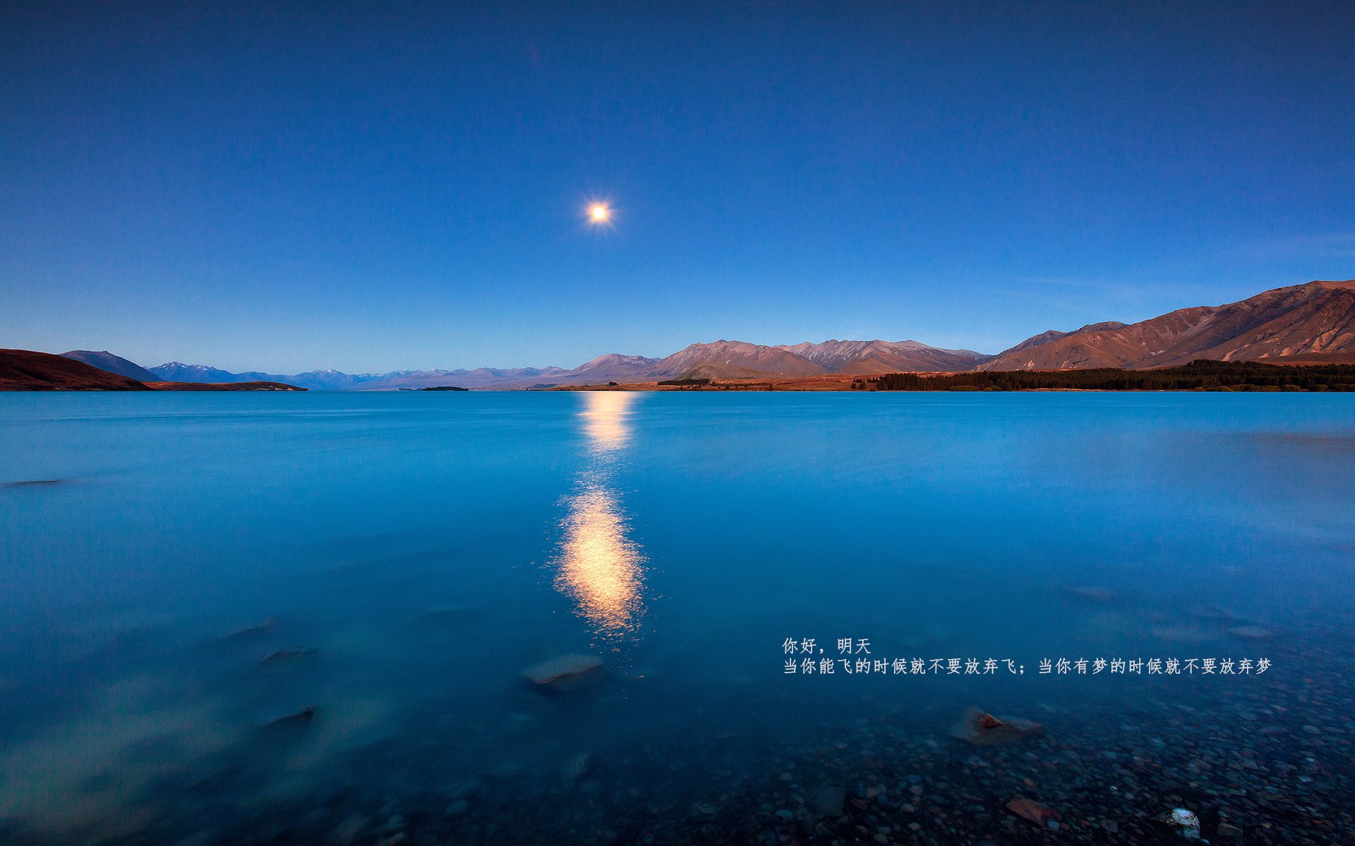 罗斯·范奥特尔戴克蝶泳冲刺抢眼