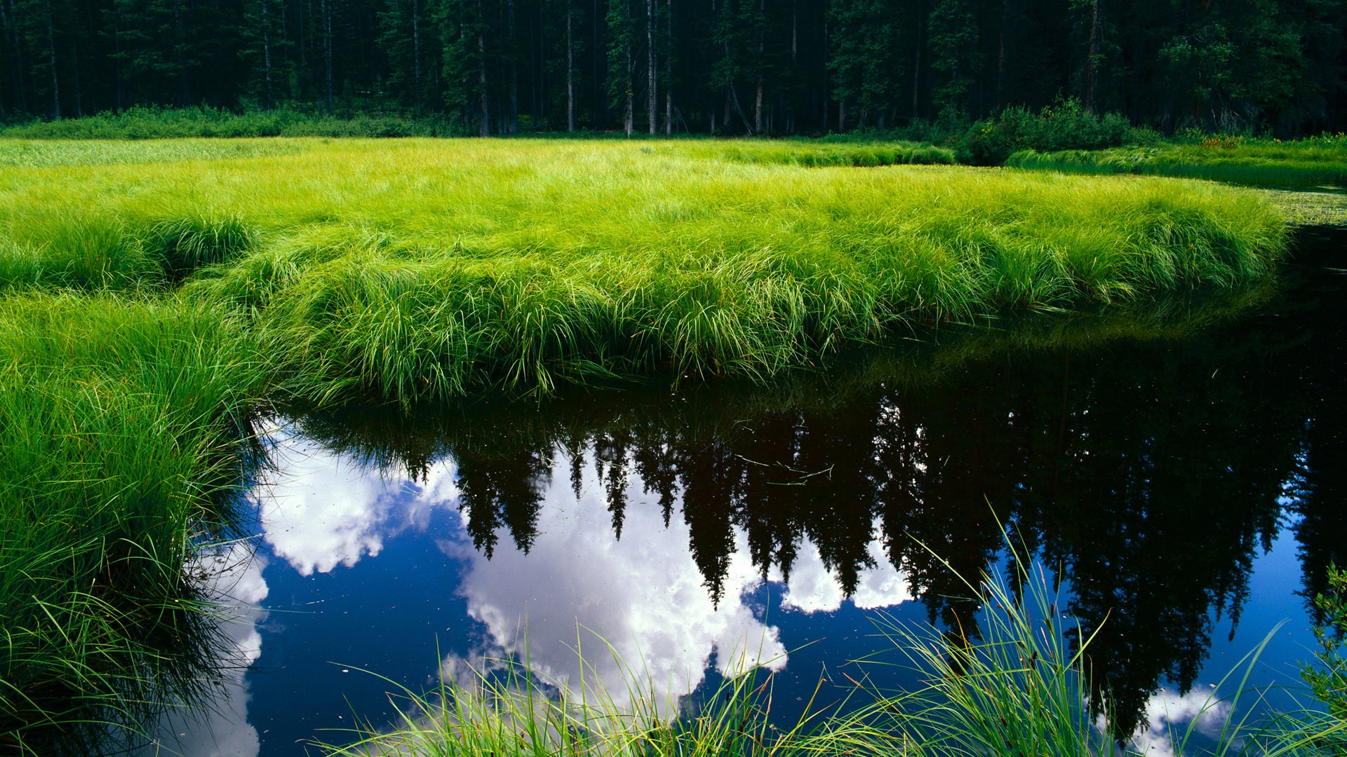足球守门员专项装备发布会举行，守门员规则详细_足球守门员规则图解
